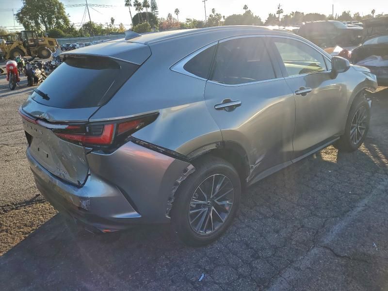 2025 Lexus Nx 350 Premium