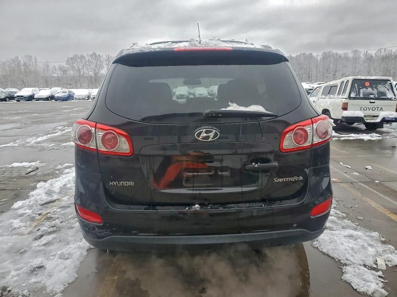 2010 Hyundai Santa fe se