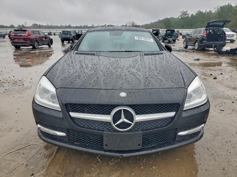2013 Mercedes-Benz Slk 250