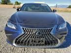2024 Lexus Es 300h Base