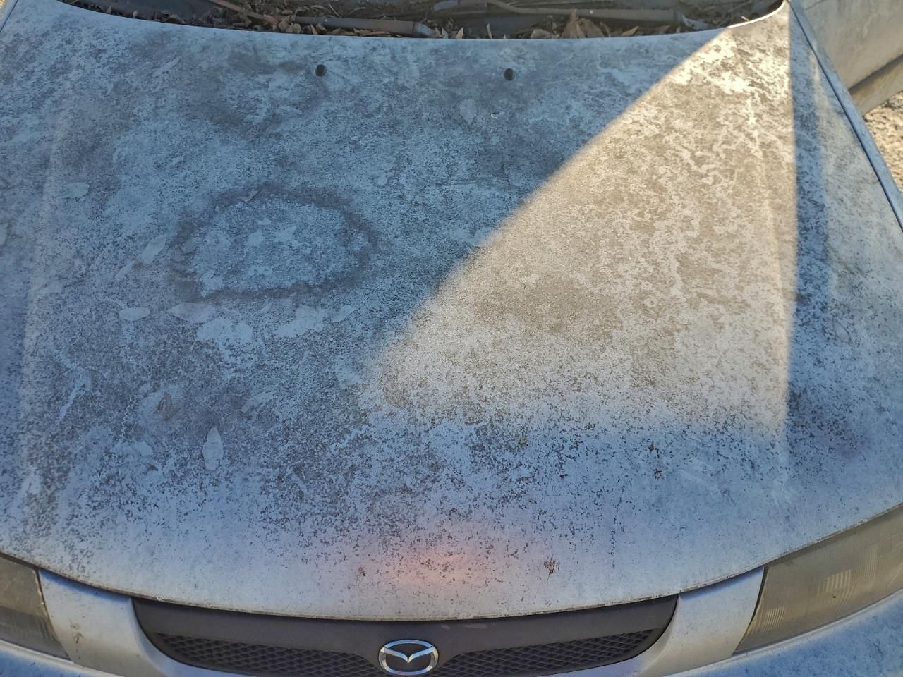 1998 Mazda Protege dx