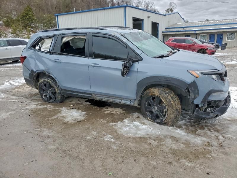 2022 Honda Pilot Trailsport