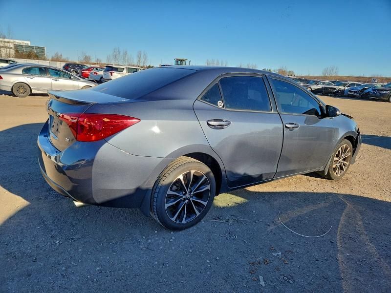 2019 Toyota Corolla l