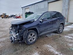 2023 Toyota Rav4 xle for sale in Davison, MI