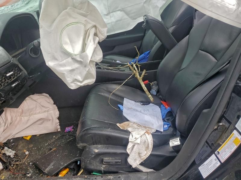 2025 Honda Accord Hybrid exl