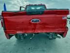 2025 Ford F150 xl
