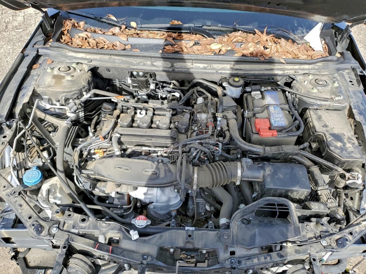 2023 Honda Accord ex