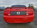 2005 Ford Mustang gt
