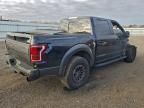 2019 Ford F150 Raptor