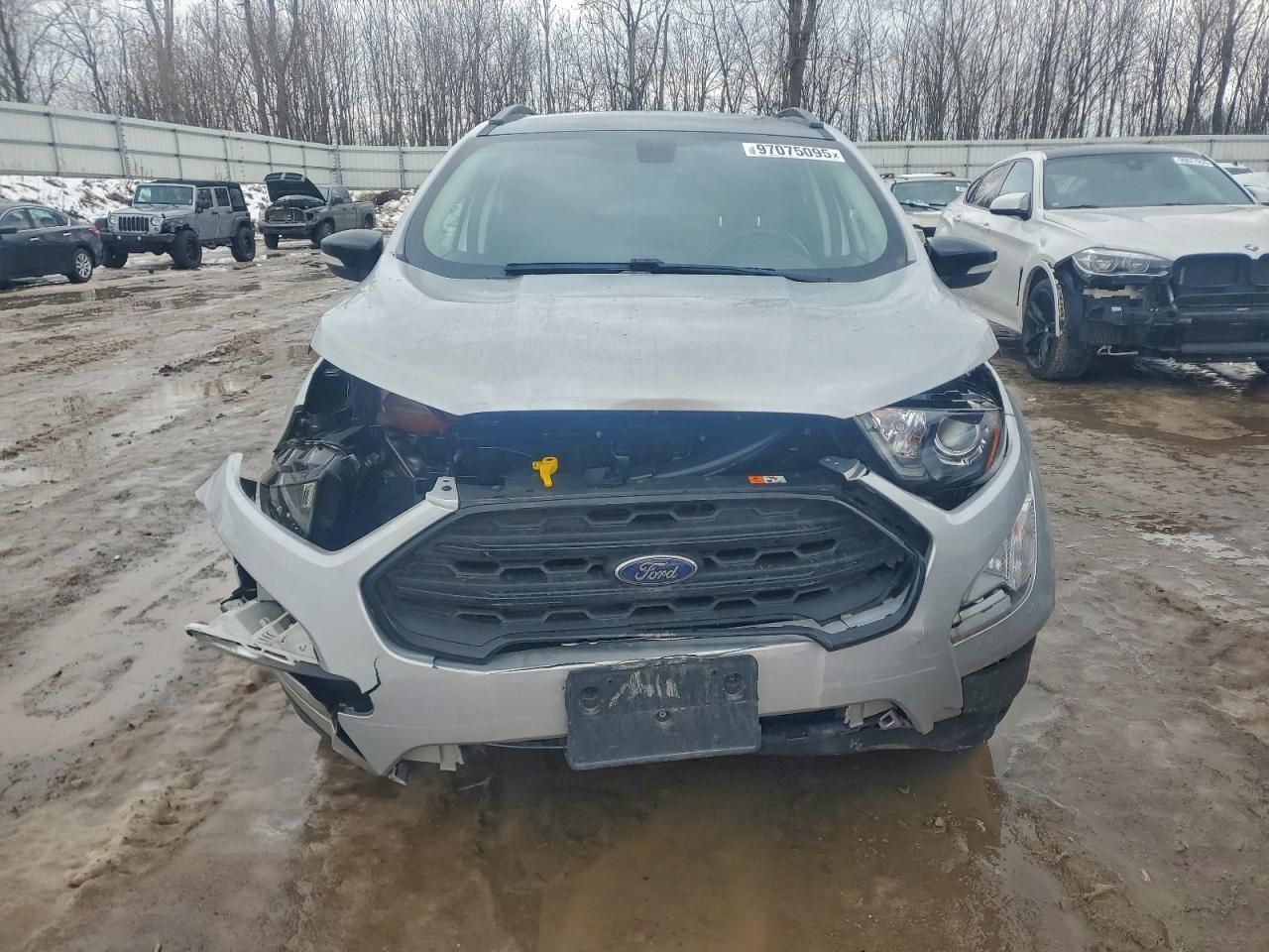 2021 Ford Ecosport ses