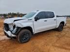 2023 Chevrolet Silverado K1500 lt Trail Boss