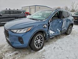 Ford salvage cars for sale: 2024 Ford Escape