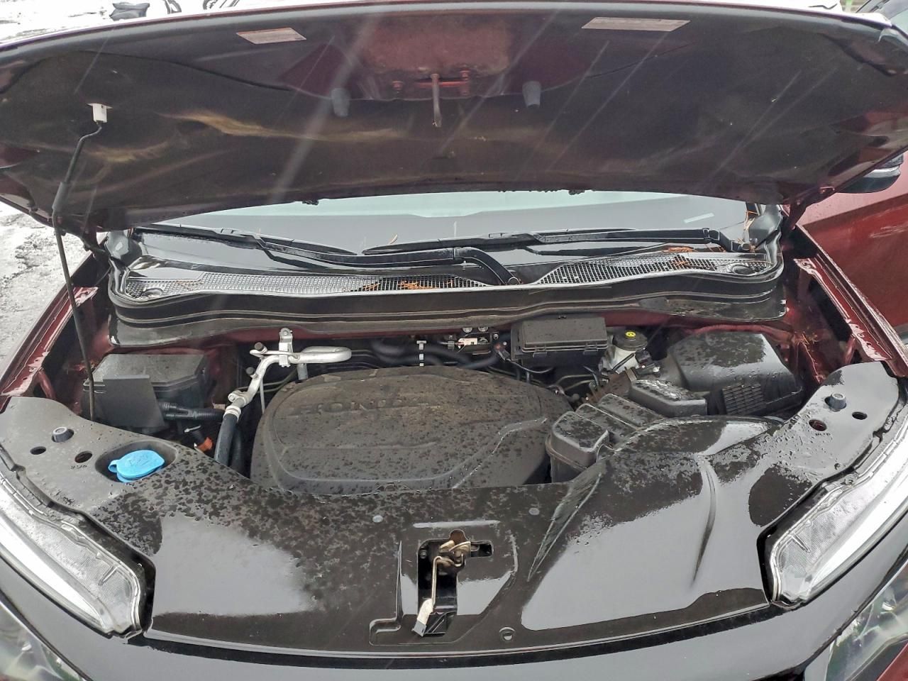 2021 Honda Passport exl