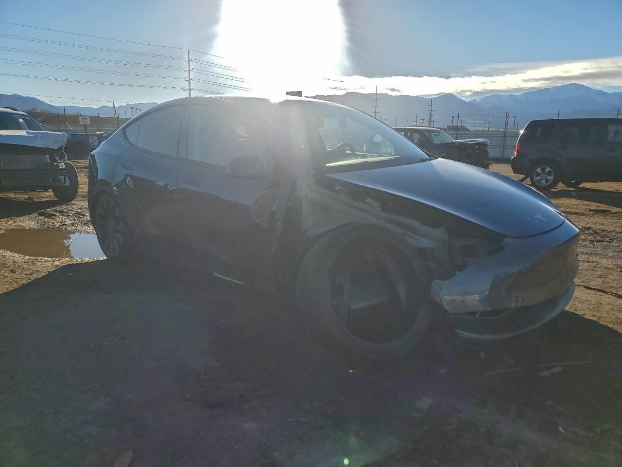 2023 Tesla Model y