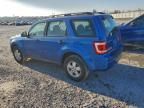 2011 Ford Escape xls