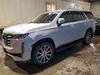 2021 Cadillac Escalade Premium Luxury Platinum