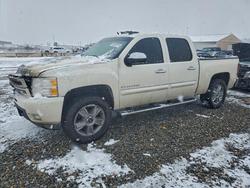 2013 Chevrolet Silverado K1500 ltz for sale in Brighton, CO