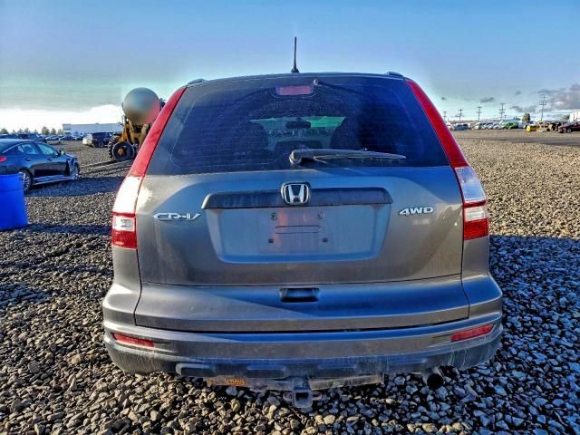 2010 Honda Cr-v lx