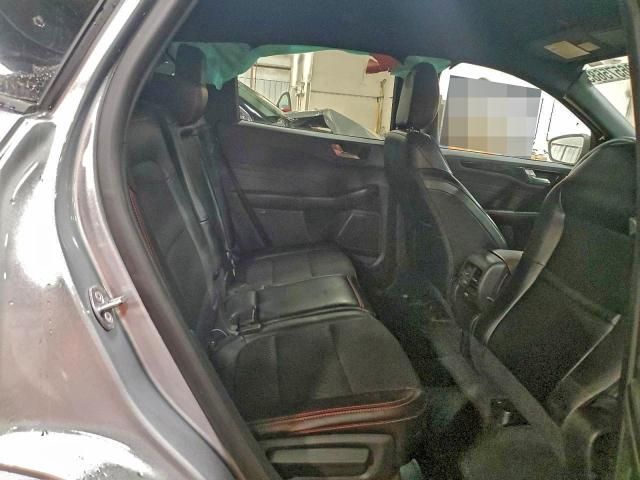 2024 Ford Escape st Line