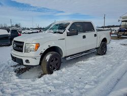 Ford F-150 salvage cars for sale: 2014 Ford F150 Supercrew