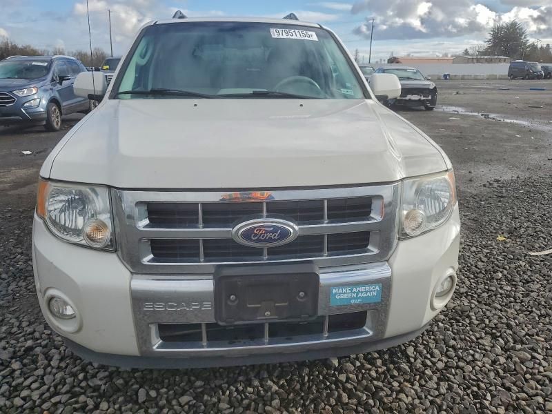 2010 Ford Escape Hybrid