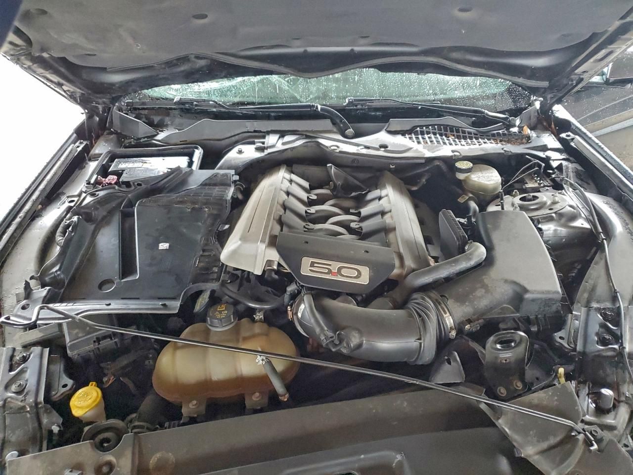 2015 Ford Mustang gt