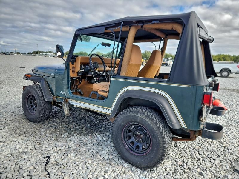 1993 Jeep Wrangler / yj