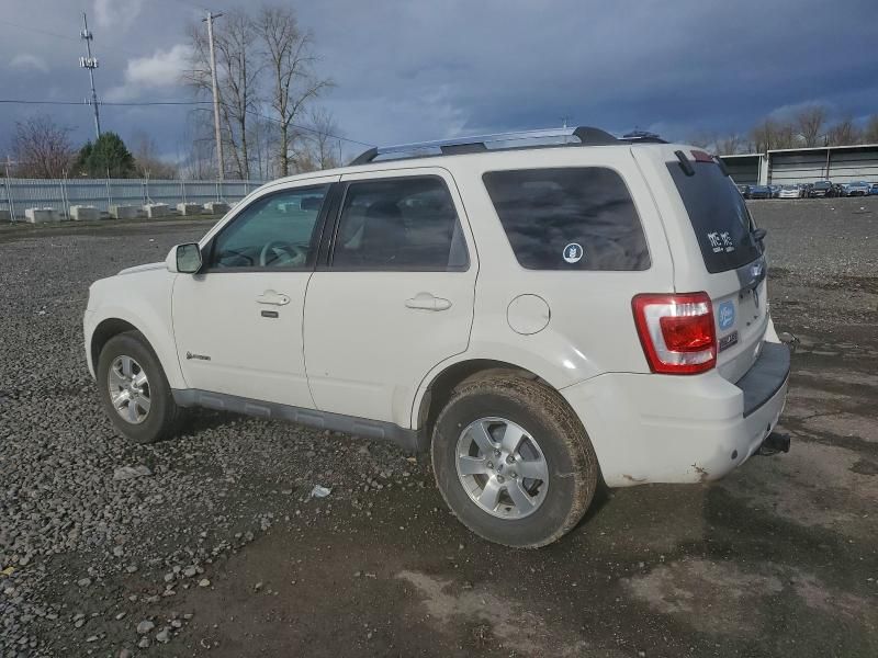 2010 Ford Escape Hybrid
