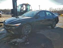 Hyundai salvage cars for sale: 2024 Hyundai Elantra sel