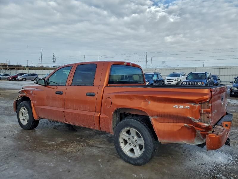2010 Dodge Dakota SXT