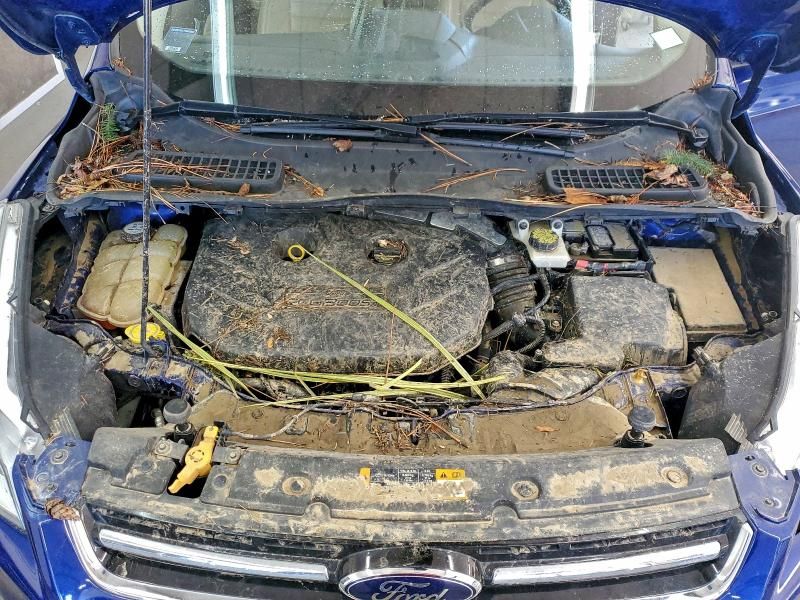 2013 Ford Escape sel