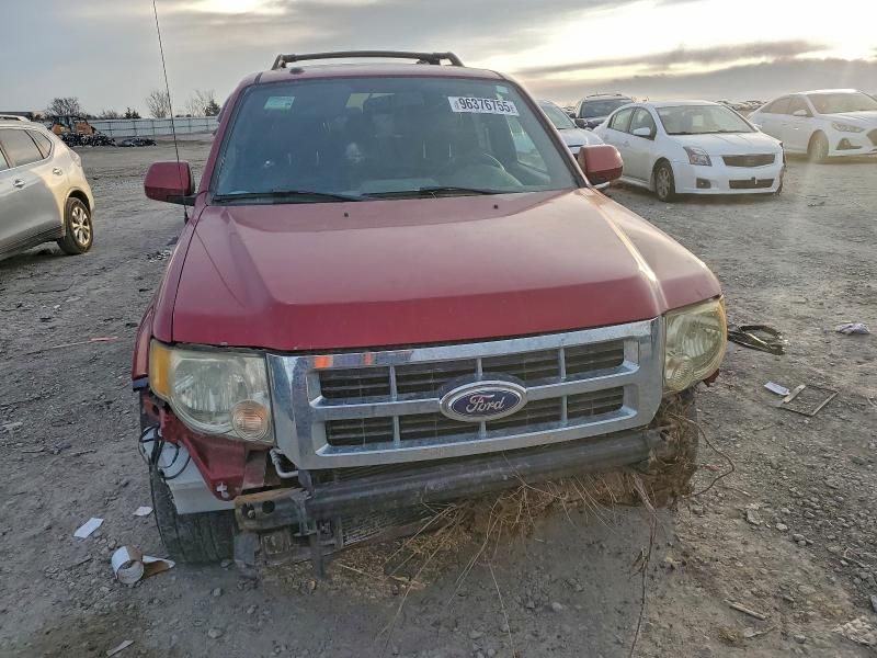 2010 Ford Escape Limited