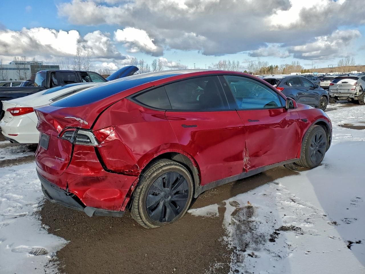 2025 Tesla Model y