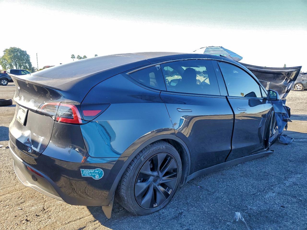 2025 Tesla Model y
