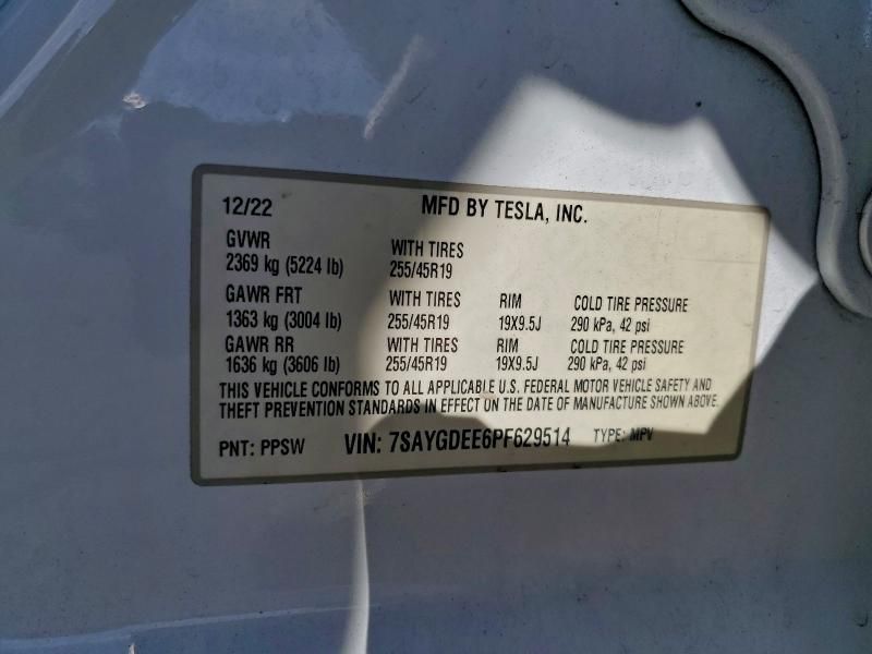 2023 Tesla Model y