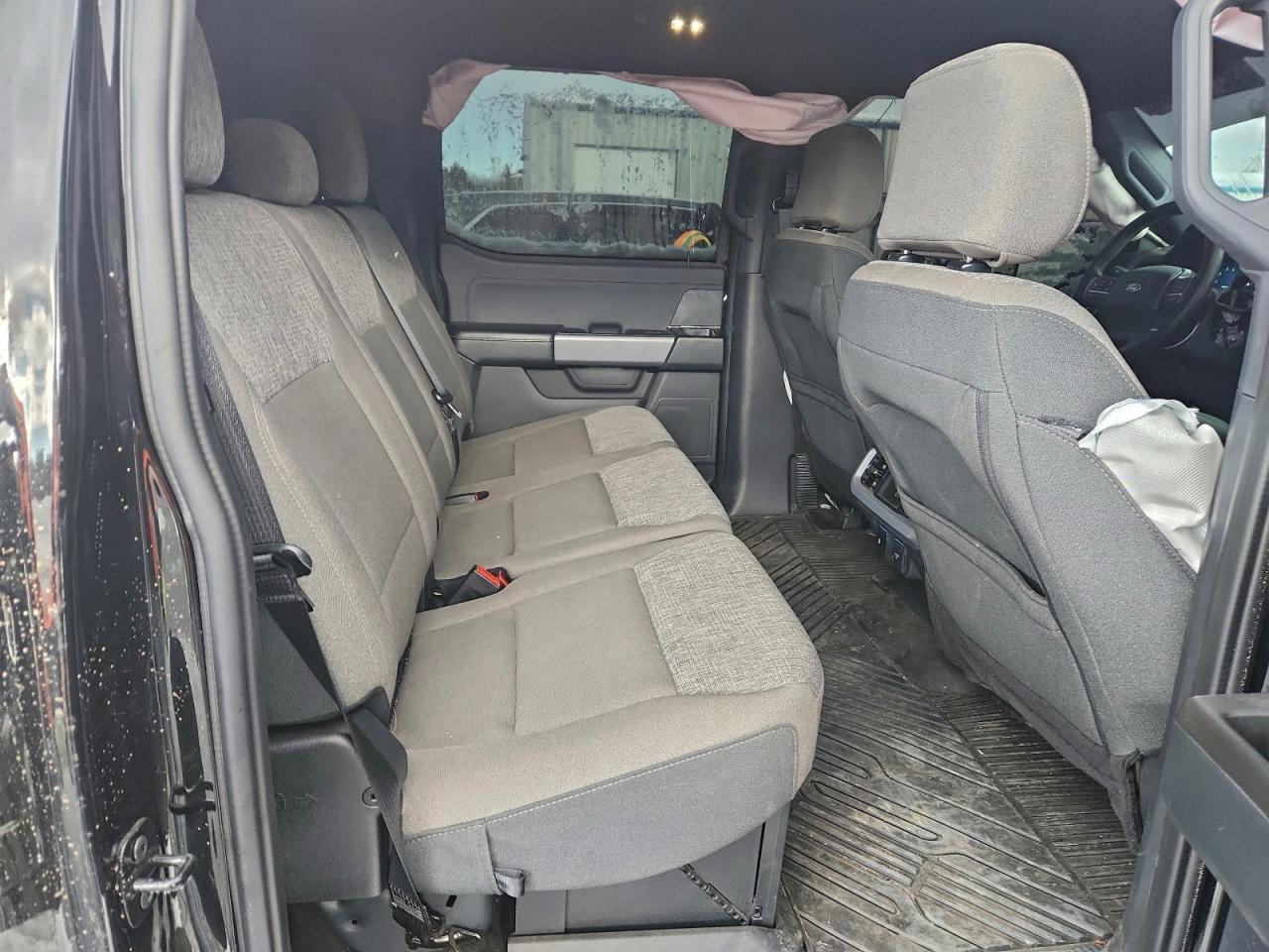 2024 Ford F150 xlt