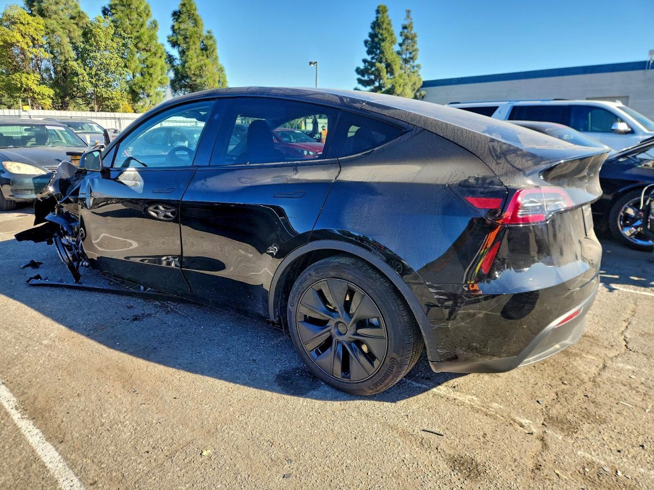 2025 Tesla Model y