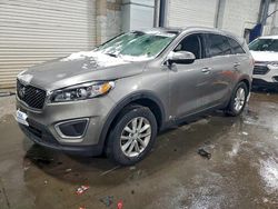 2017 KIA Sorento lx for sale in Ham Lake, MN