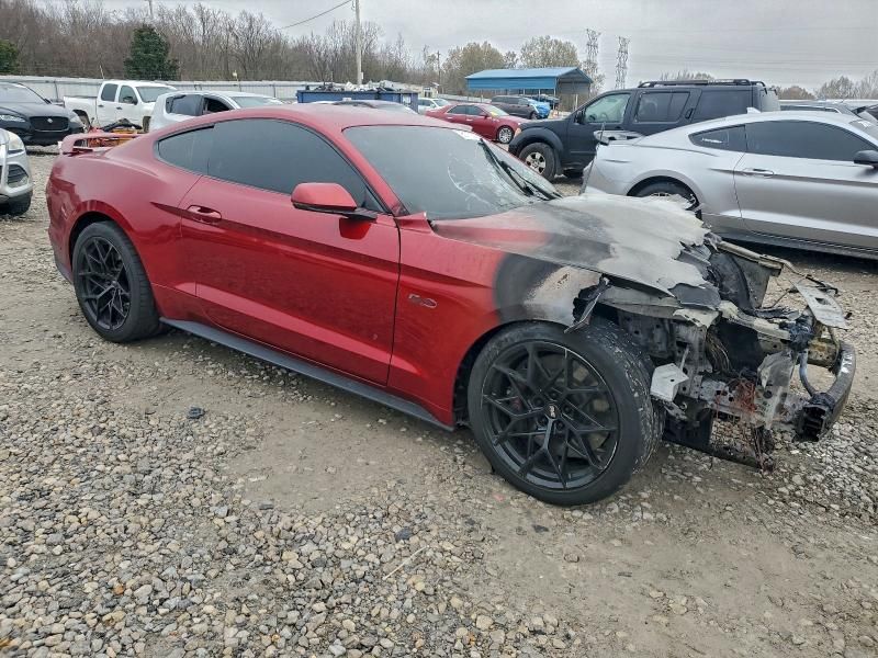 2019 Ford Mustang gt