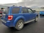 2008 Ford Escape hev