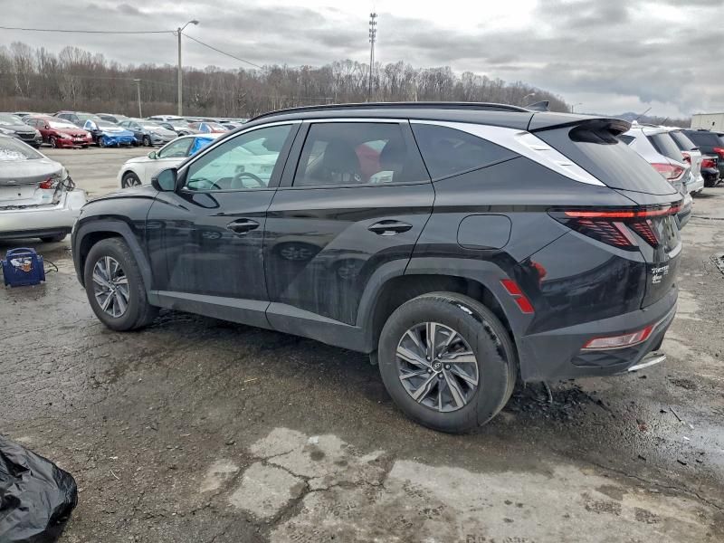 2023 Hyundai Tucson Blue