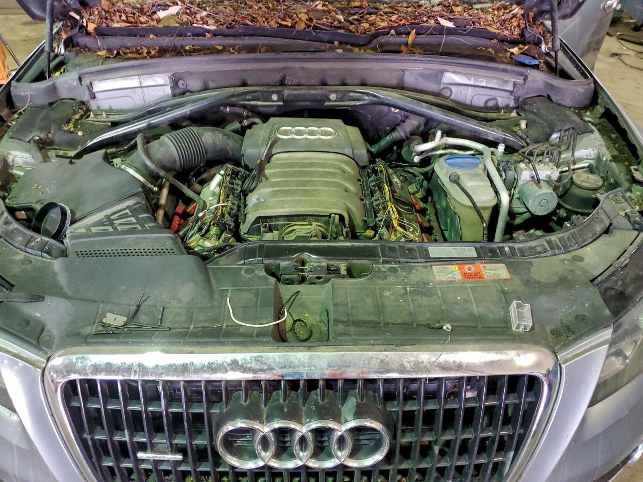 2010 Audi Q5 Premium Plus