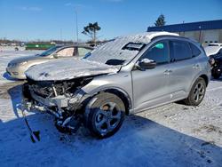 Salvage cars for sale from Copart Woodhaven, MI: 2024 Ford Escape st Line