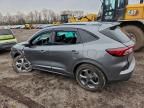 2023 Ford Escape st Line