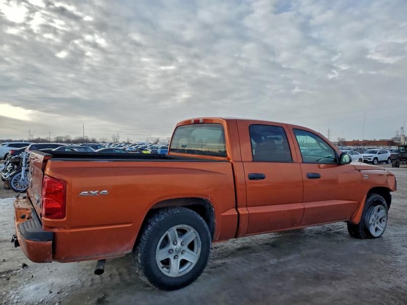 2010 Dodge Dakota SXT