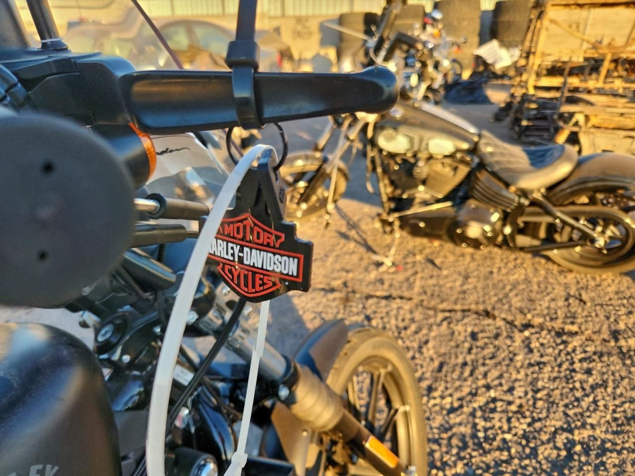 2022 Harley-Davidson XL883 N