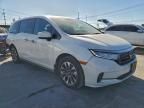 2024 Honda Odyssey exl
