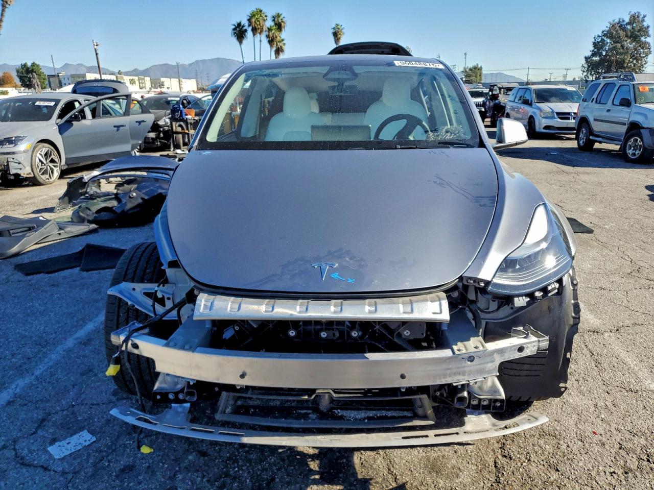 2025 Tesla Model y