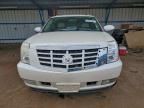 2009 Cadillac Escalade esv Luxury