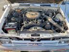 1987 Niss D21